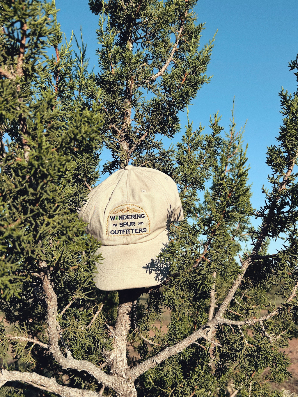 Wandering Spur Outfitters Classic Dad Cap